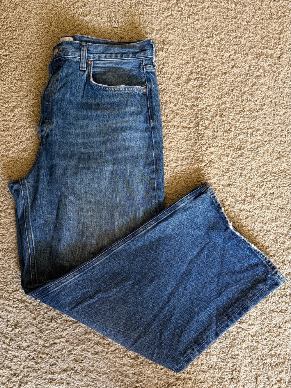 Agolde Women's Low Slung Baggy Jeans